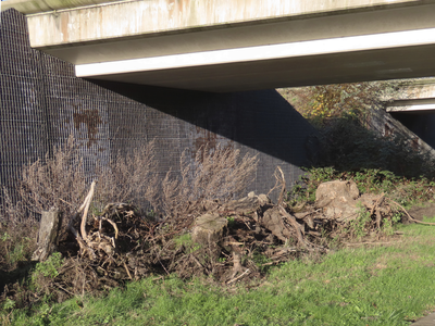 851430 Afbeelding van een deel van de faunapassage onder het viaduct in de Hof Ter Weydeweg over Het Lint Terwijde bij ...